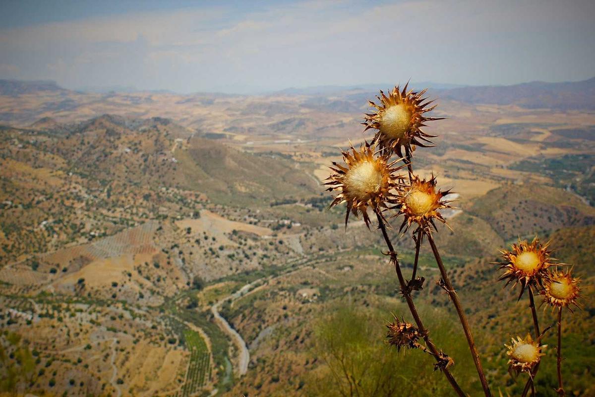 AI-Spawned Infinite Capital Loops | Financial Innovation