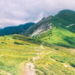 Prompt-to-Profit AI Economy