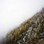 Cognitive AI Wealth Alchemy