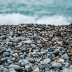 AI Autonomous Value Networks