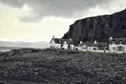 AI Quantum Wealth Synthesis