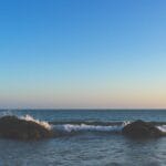 AI Digital Twins for Wealth