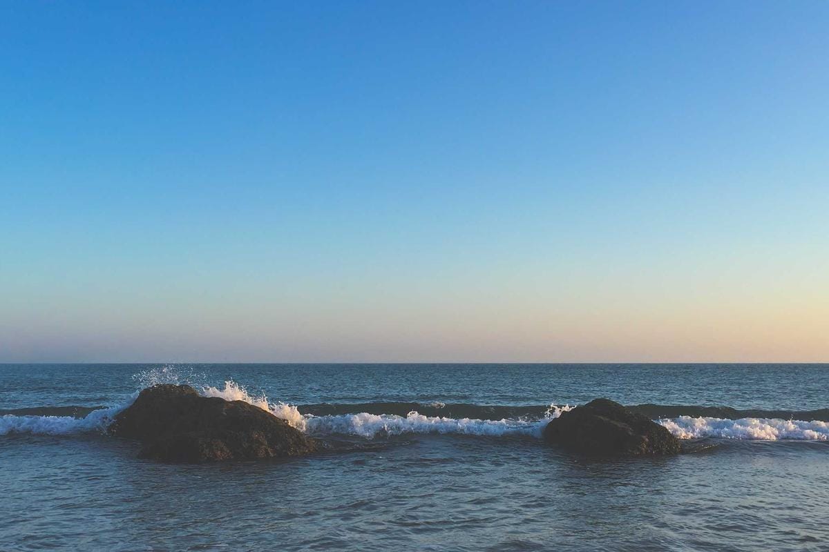 AI Digital Twins for Wealth