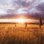 AI Autonomy Wealth Machines